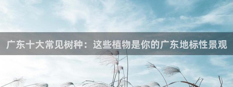 新宝gg如何赚钱：广东十大常见树种：这些植物是你的广东地标性景观