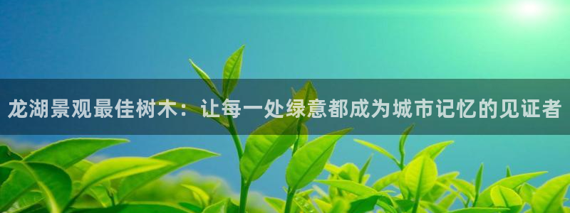 新宝gg龙虎