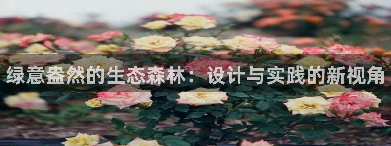 新宝gg提点：绿意盎然的生态森林：设计与实践的新视角