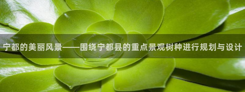 新宝gg网娱乐