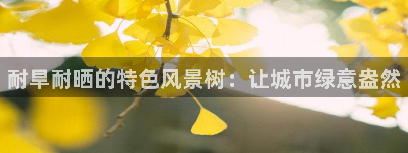 新宝gg娱乐盟主