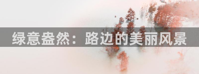 新宝gg代理条件