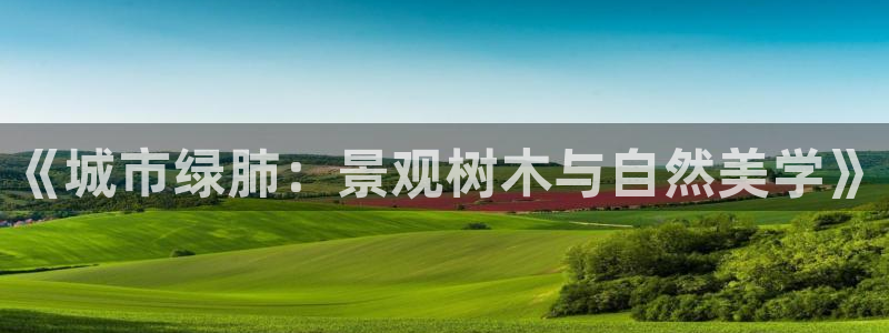 新宝gg是新宝几