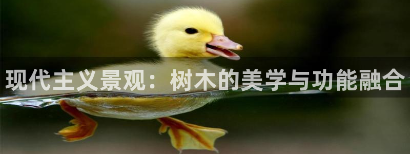 新宝gg怎样代理