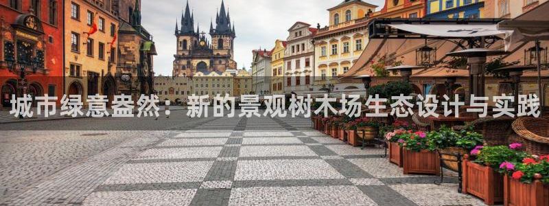 新宝gg和新宝123