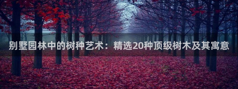 新宝gg客服电话