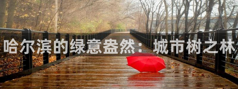 新宝GG网址新宝2