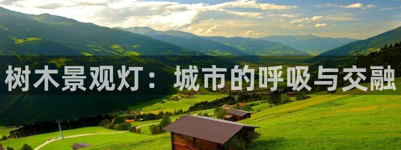 新宝gg手机助手