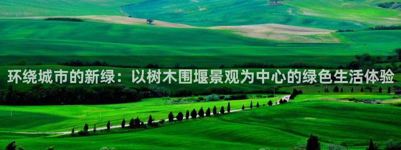 新宝GG专业团队