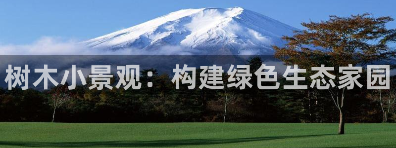 新宝gg平台反水