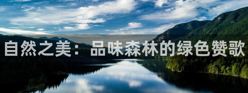 新宝gg 198：自然之美：品味森林的绿色赞歌