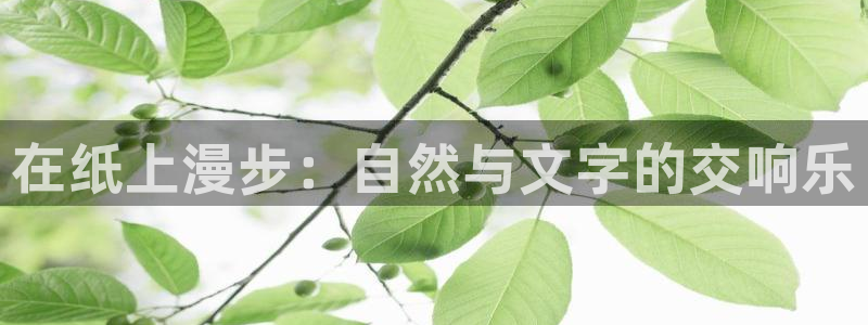 新宝gg 金苹果：在纸上漫步：自然与文字的交响乐