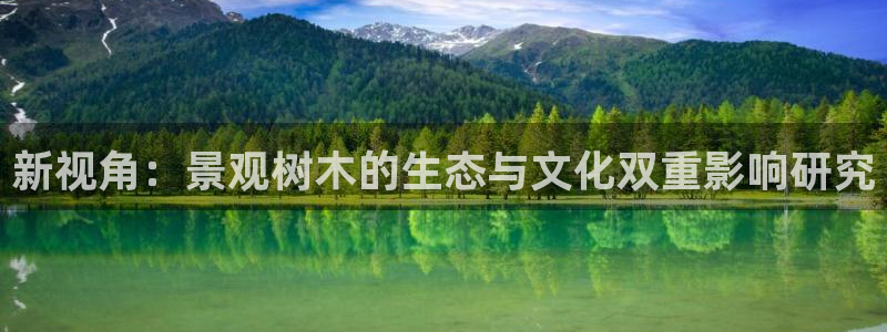 新宝gg是在境外吗