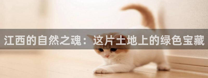 新宝gg客服电话