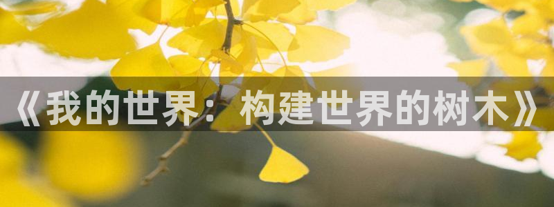 新宝gg盈亏