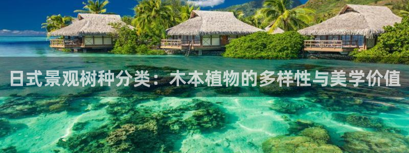 新宝gg开奖