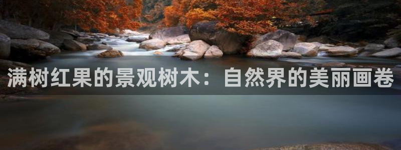 新宝集团gg