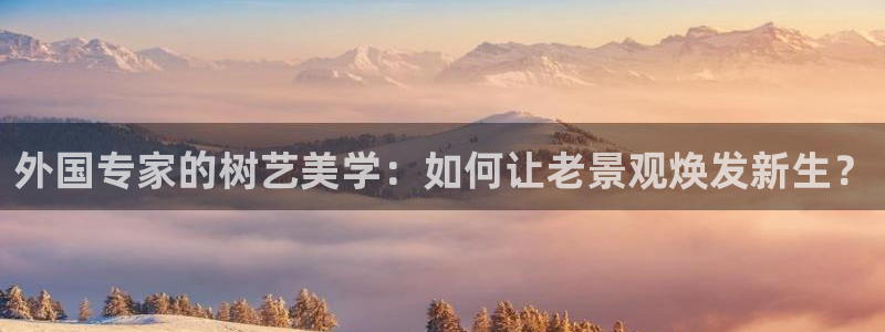 新宝gg挂机软件下载