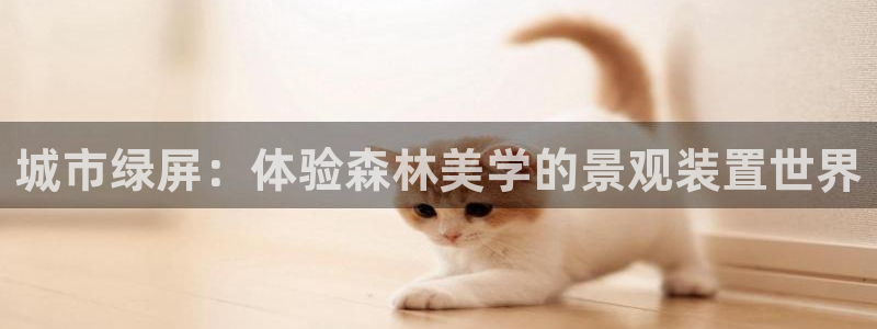 新宝 gg 总代理