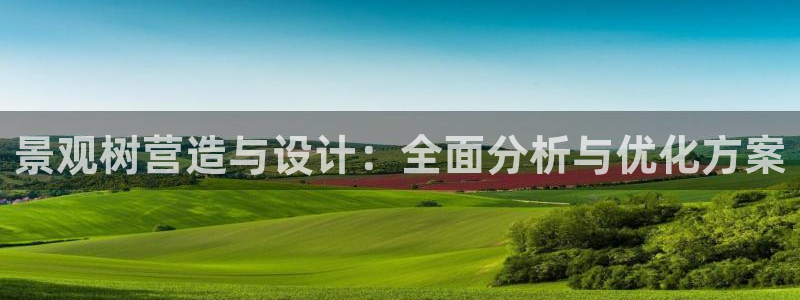 新宝gg平台开户
