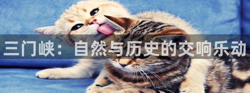 新宝gg注册q 26880：三门峡：自然与历史的交响乐动