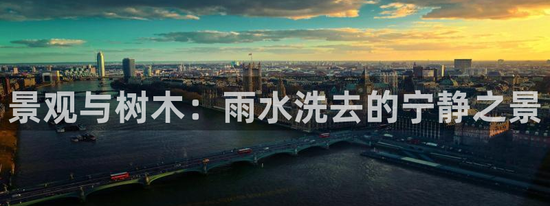 新宝gg总管