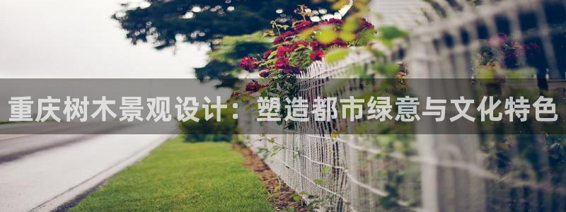 新宝gg软件下载