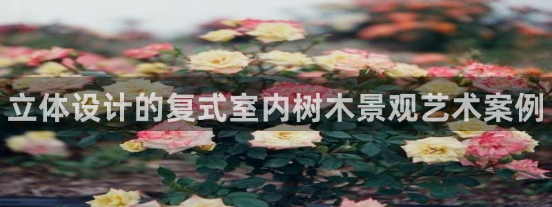 新宝gg维护