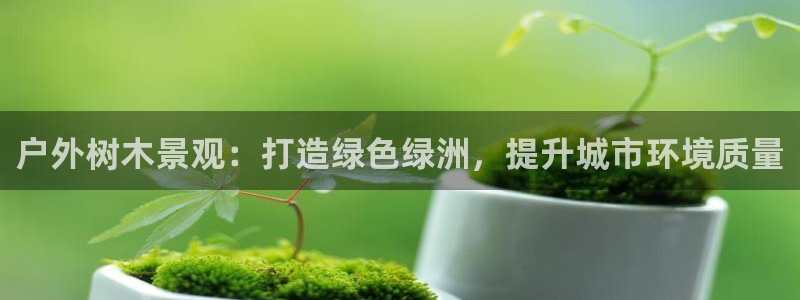 新宝gg有规律么