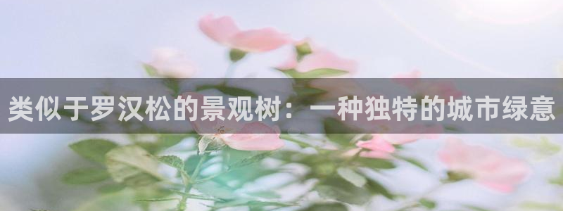 新宝GG创造奇