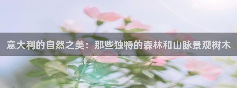 下载新宝gg
