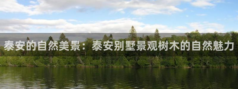 新宝gg 开户
