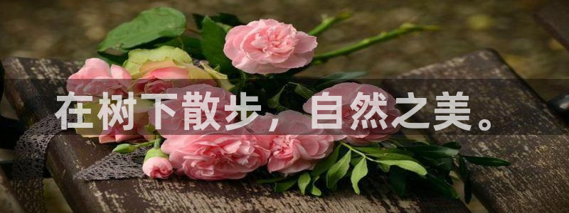 新宝gg 创造奇迹