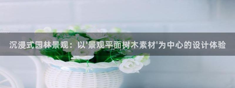 新宝gg好吗