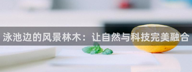 新宝gg扣钱