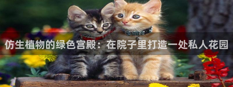 新宝gg搜740005：仿生植物的绿色宫殿：在院子里打造一处私人花园