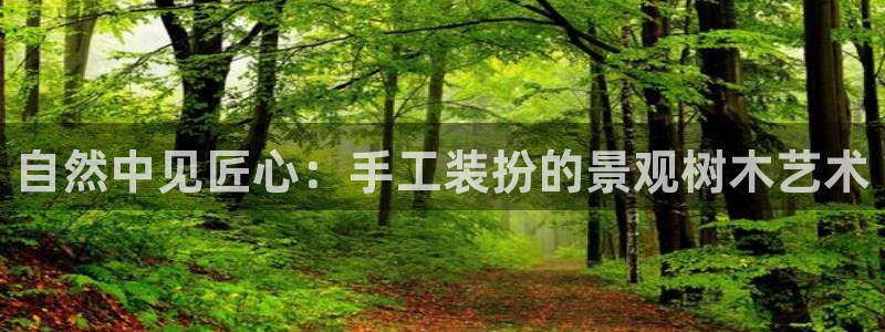 新宝gg真的
