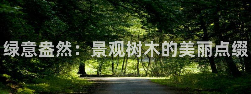 新宝gg 登陆
