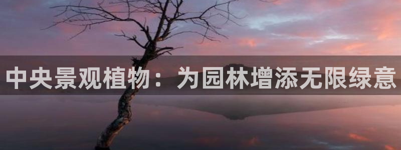 手机新宝gg