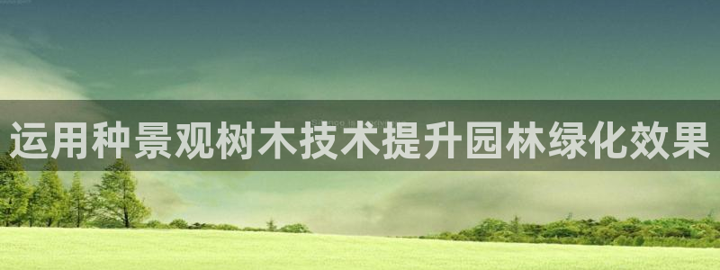 新宝gg辅助